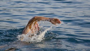 开云app下载-蛙泳换气动作影响划水节奏？，蛙泳换气节奏乱了怎么办