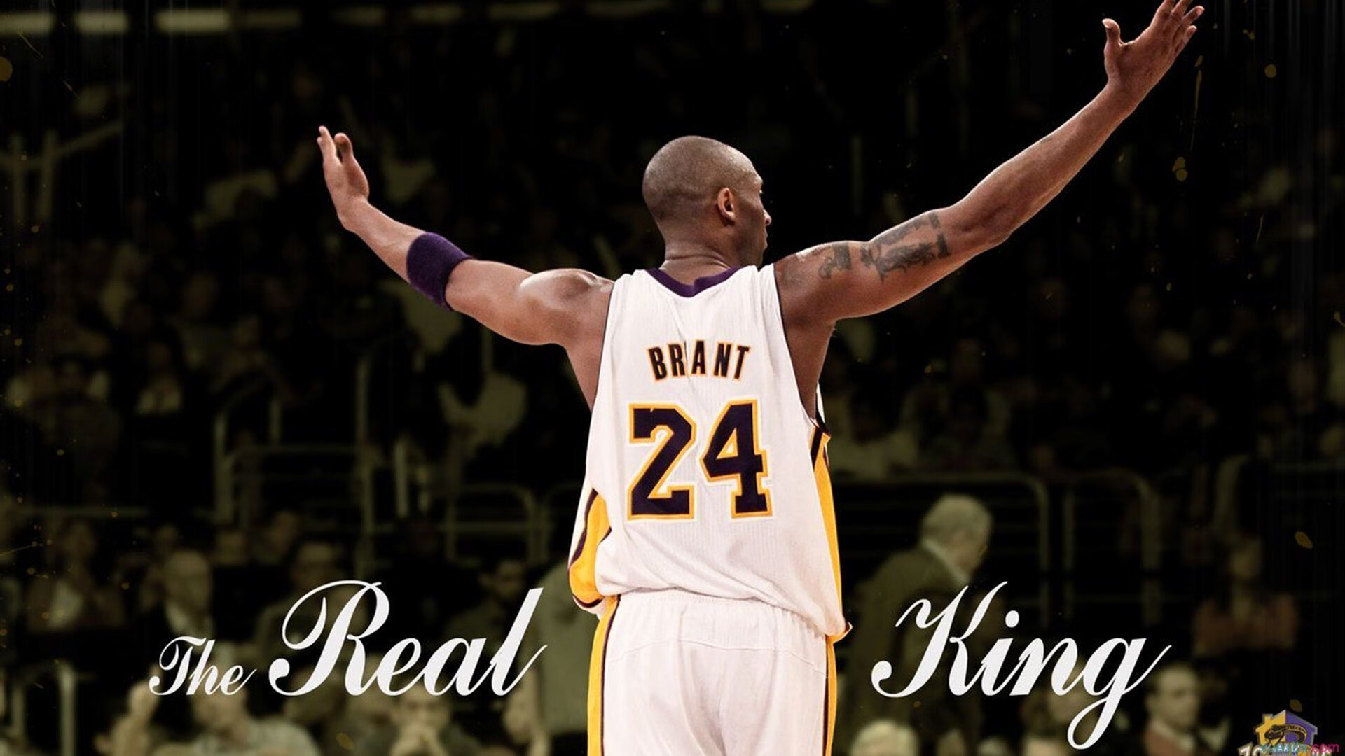 Kaiyun(中国)开云-贝尔格莱德红星季后赛表现抢眼，贝尔格莱德红星历史最佳阵容