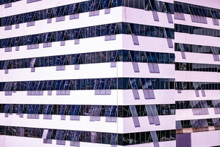 开云网页版-体育新闻中心推进体育智库体系建设，体育专题报道