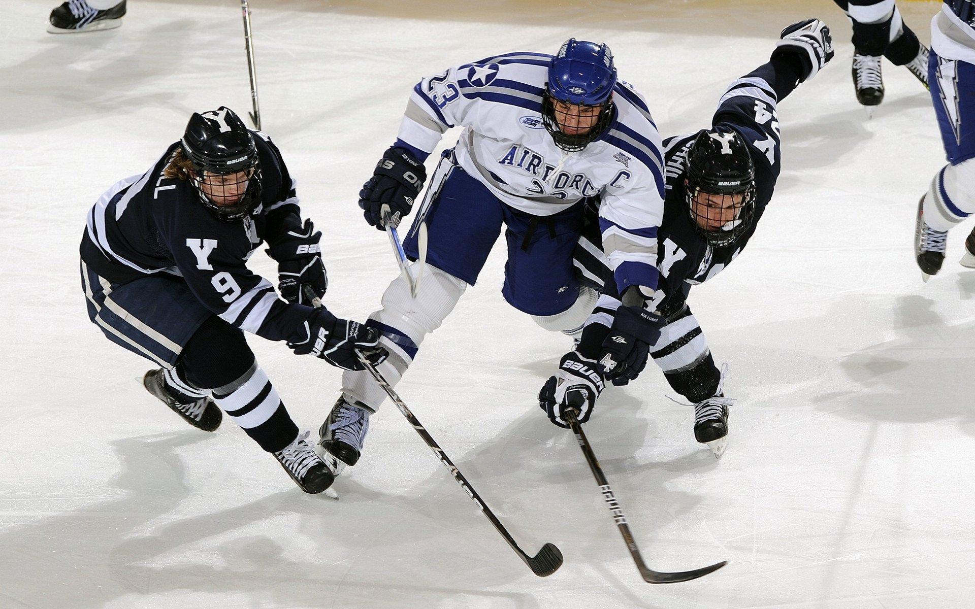 青年运动员成长体系日趋完善，青少年运动员训练长期发展模型包括